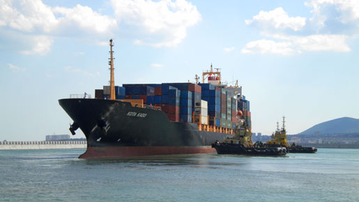 Arkas Rusya’da, PIL’in acentesi oldu