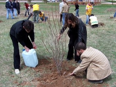 Yeniyılda bir fidan dikin