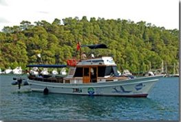 Tema ve Turmepa&#039;dan &quot;Geleceğimiz Erimesin&quot;