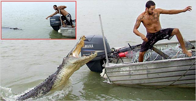 Timsahtan Objektife Sıkı Poz