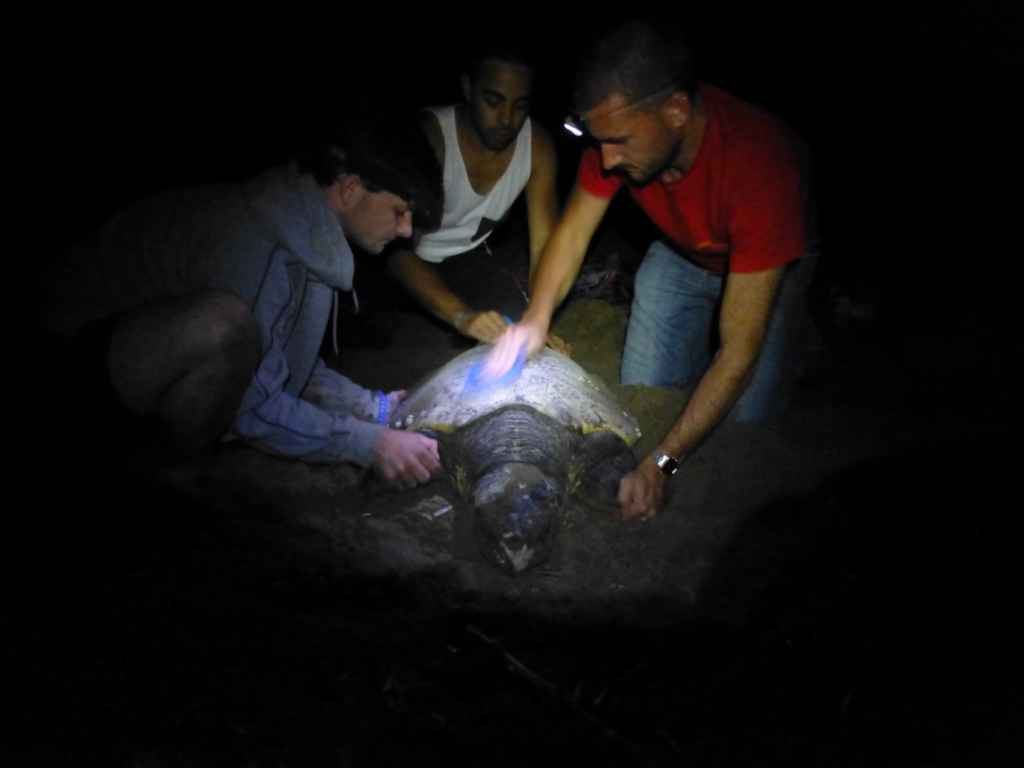 Savaş ve Gerginlik Onu Durduramadı