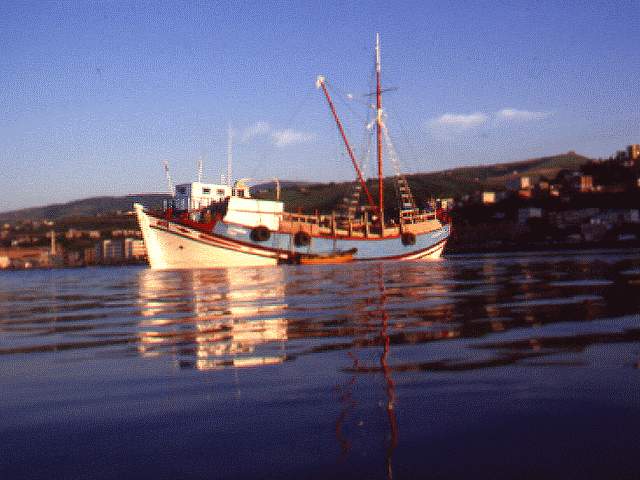 Denizi Arıyorum. Göreniniz var mı?