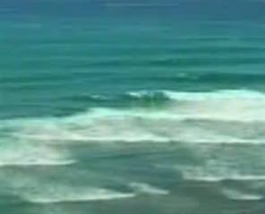 DenizTV: Tsunami Dalgaları Hawaii&#039;ye Ulaştı