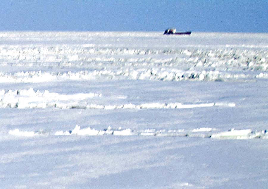 Azak Denizinde açlık ve susuzluk başladı