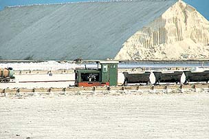 İzmirli Sanayiciler 'Tuz' Seferine Çıktı