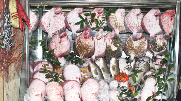 Ukrayna&#039;da Kriz Var Kalkan 15 Dolar