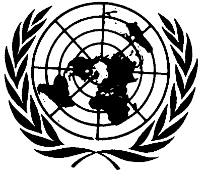 Birleşmiş Milletler Askerlerine Şok Suçlama