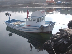 Vakfikebir Yat Limanı İçin  Ödenek Çıktı