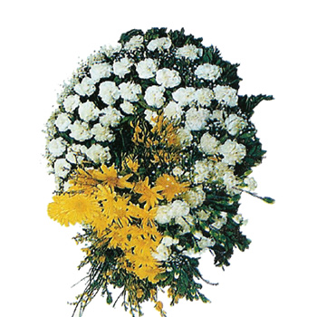 Kılavuz Kaptanın Acı Günü