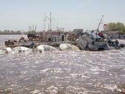 Karadeniz&#039;de Çevre Felaketi