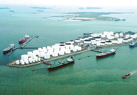 Tank Çiftliğinden 529 Milyon Dolar Kazandı