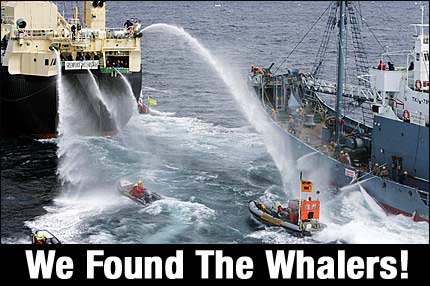 Japon Avcılara Eylemci Darbesi