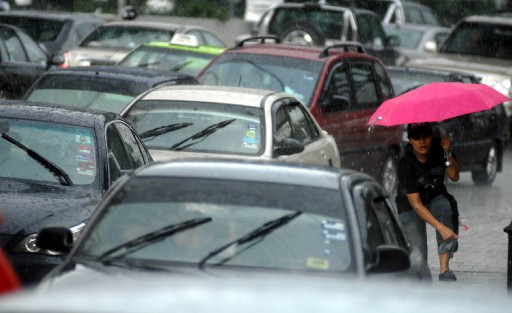 Uzak Köşede Tropik Bir Yaşam