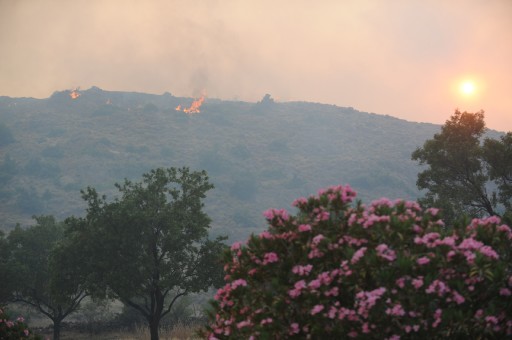Menemen'deki Yangın Kontrol Altında
