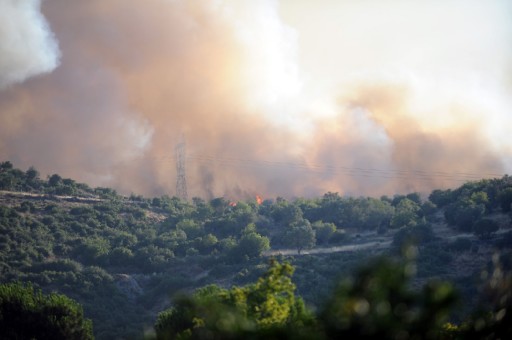 Çanakkale'de Orman Yangını