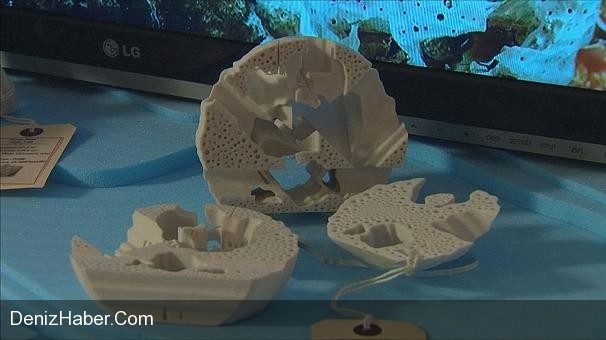 Yapay Mercanlar Deniz Yaşamını Kurtaracak