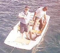 Tarım ve Balıkçılık Bakanlığı istedi.