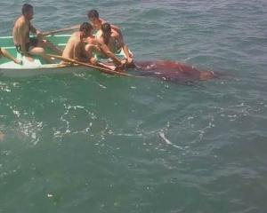 Meraklı Yolcular Mavi Tur Teknesini Batırıyordu