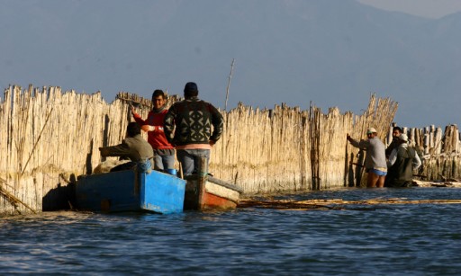 Yavru balıklar denize ulaşamıyor