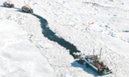 Yelkenliyle Buzullara Yolculuk