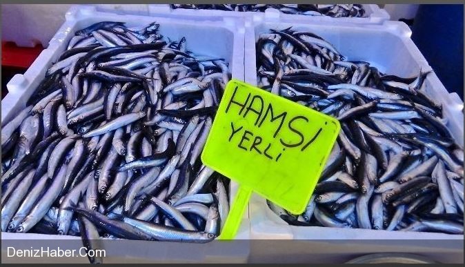 Giresun'da Tezgahlar Şenlendi