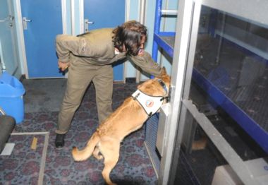 Yolcu Gemisinde Bomba Tatbikatı