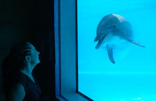 Türkiye'nin en büyük su parkı açılıyor...