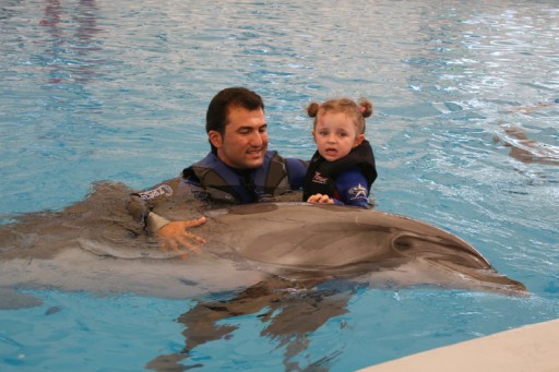 Yunuslarla Şifa Arayan Hastalar