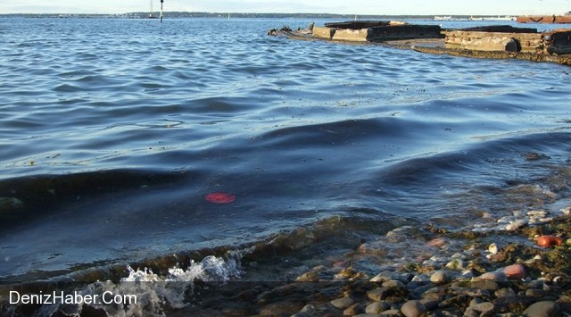Zonguldak&#039;ta Deniz Kirliliği