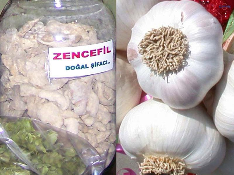 Gribe Sarımsak, Kansere Zencefil