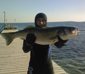 Zıpkınla Balık Avcıları Buluştu