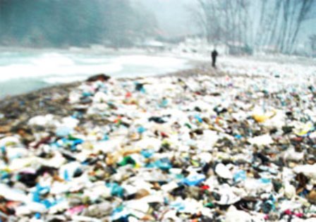 Kozlu&#039;da Plaj Tıbbi Atıklarla Dolu