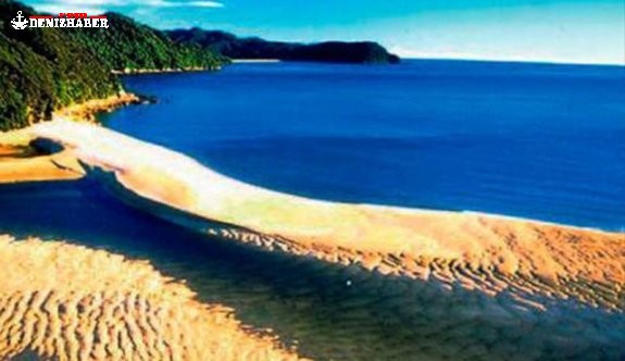 40 bin kişi internetten birleşti, özel plajı satın aldı!