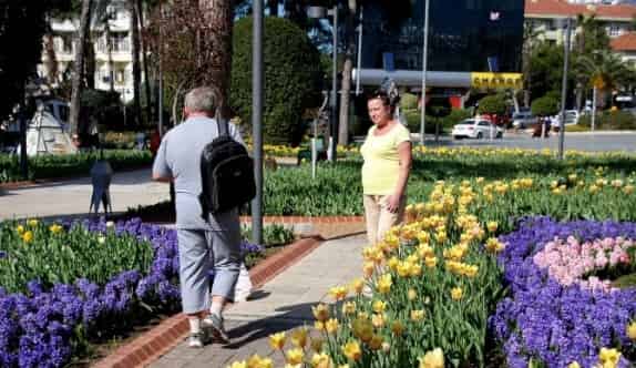 Alanya’da Laleler Çiçek Açtı