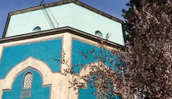 Bahar Çiçekleri Fotoğraf Sanatçılarını Coşturdu