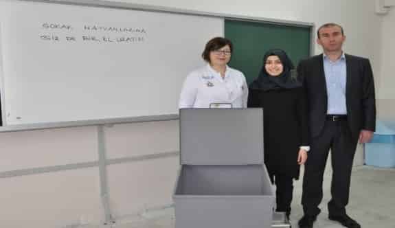 Bandırma’da Sokak Hayvanları Aç Kalmayacak