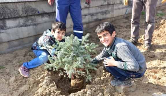 Battalgazi Belediyesi Fidanları Toprakla Buluşturuyor