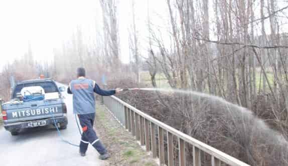 Beyşehir’de Larva Mücadelesi Hız Kazandı