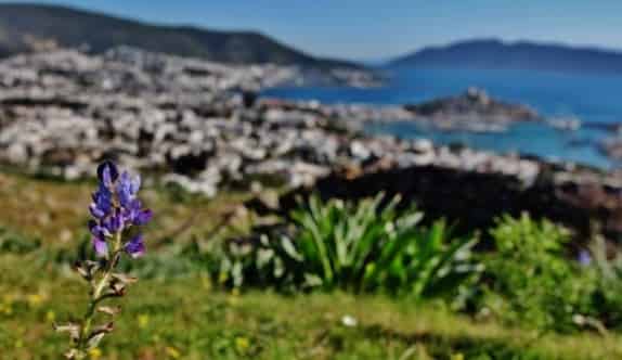 Bodrum’da Doğa Ve Tarihi Buluşturan Tepe