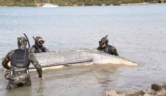 Deniz Dibinden Çıkanlar Görenleri Şaşırttı