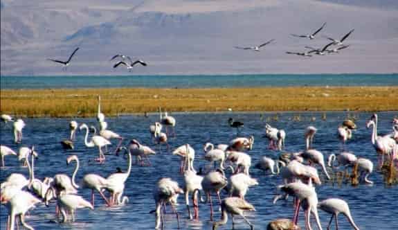 Doğa Turizmine 2 Milyon 650 Bin TL