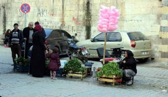 Doğal Olarak Yetişen Yabani Otlara İlgi