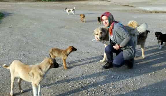 Hayatını Hayvanlara Adadı