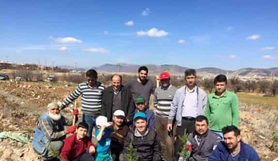 Hüyük’te Muhtarlıktan Ağaç Dikme Kampanyası