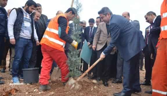 Kahta Seyir Tepesinde İlk Fidanlar Ekildi