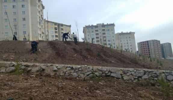 Körfez’de 400 Fidan Toprakla Buluştu