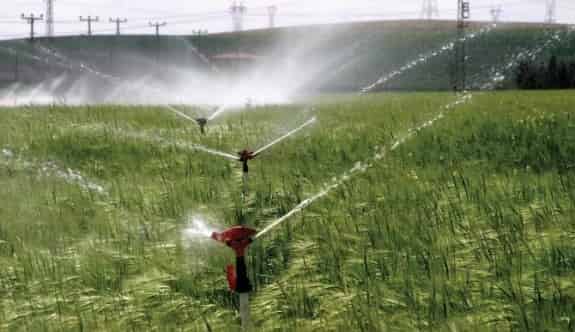 Kuraklık, Çiftçinin Belini Büktü