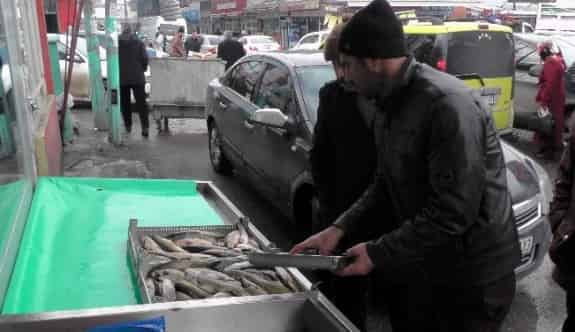 Muş Balığı Revaçta