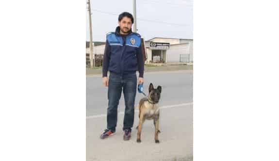 Narkotik Köpekleri Didim’de Görev Başında