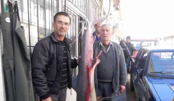 Ortaca’da Amatör Balıkçının Oltasına Köpek Balığı Takıldı